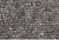 wall bricks overgrown moss 0002